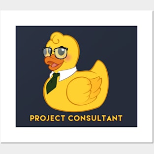 Project Consultant Posters and Art